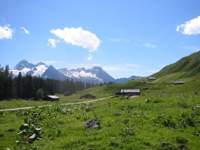 Ebserbauer